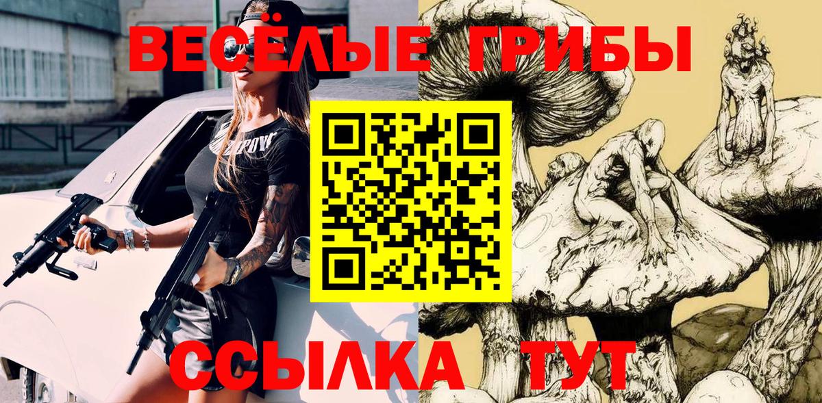 Галлюциногенные грибы Psilocybine cubensis  Вход с VPN  Аргун  Псилоцибиновые грибы GOLDEN TEACHER 