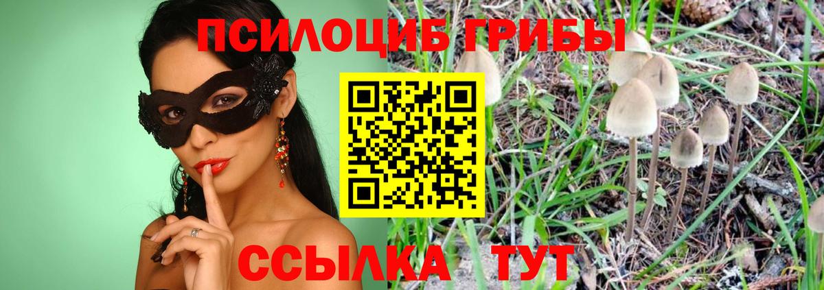 Псилоцибиновые грибы Psilocybine cubensis Аргун